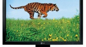 Best 5 Computer Monitors from LG